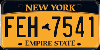 NY license plate FEH7541