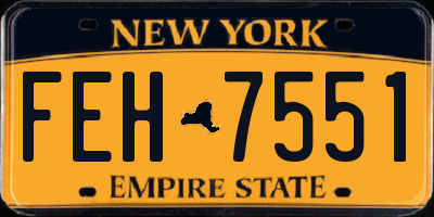 NY license plate FEH7551