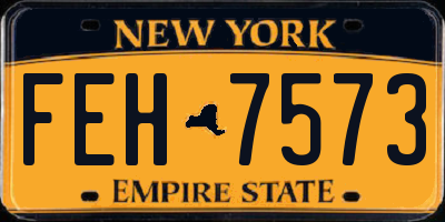 NY license plate FEH7573