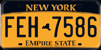 NY license plate FEH7586