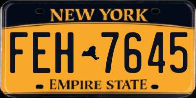 NY license plate FEH7645