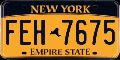 NY license plate FEH7675