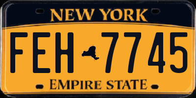 NY license plate FEH7745