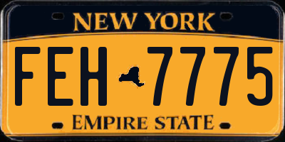 NY license plate FEH7775