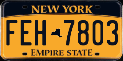 NY license plate FEH7803