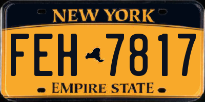 NY license plate FEH7817