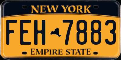NY license plate FEH7883