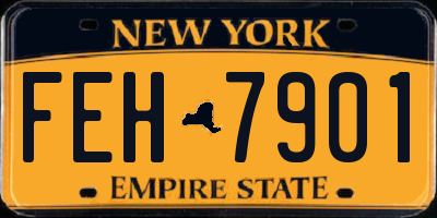 NY license plate FEH7901