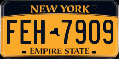 NY license plate FEH7909