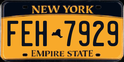 NY license plate FEH7929
