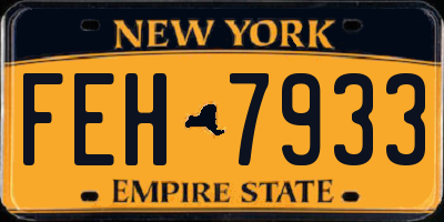 NY license plate FEH7933