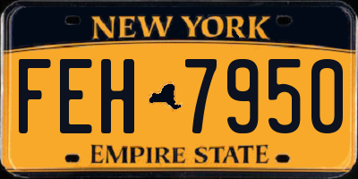 NY license plate FEH7950