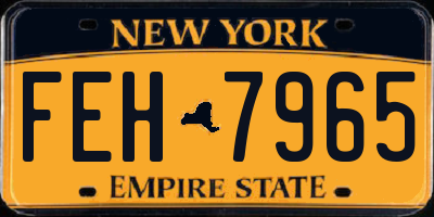 NY license plate FEH7965