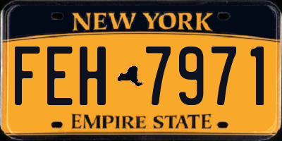 NY license plate FEH7971