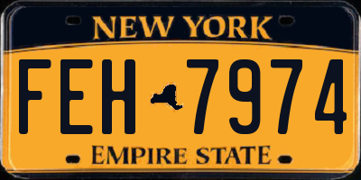 NY license plate FEH7974