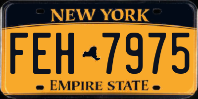 NY license plate FEH7975