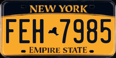 NY license plate FEH7985