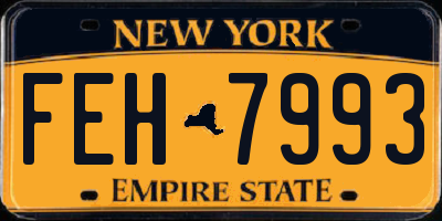 NY license plate FEH7993
