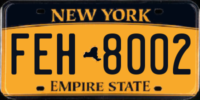 NY license plate FEH8002