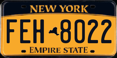 NY license plate FEH8022