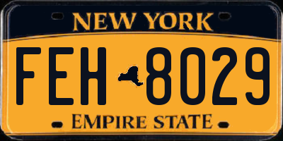 NY license plate FEH8029
