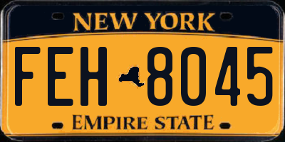 NY license plate FEH8045