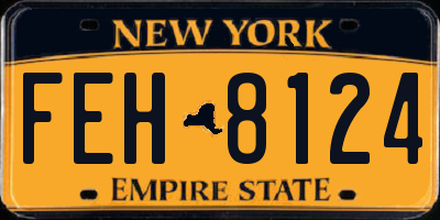 NY license plate FEH8124