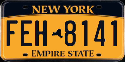 NY license plate FEH8141