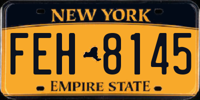 NY license plate FEH8145