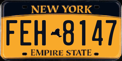 NY license plate FEH8147