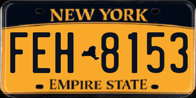 NY license plate FEH8153