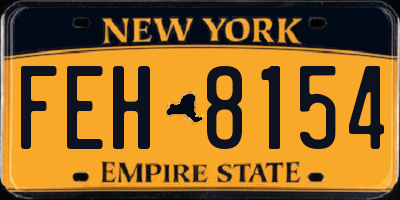 NY license plate FEH8154