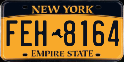 NY license plate FEH8164