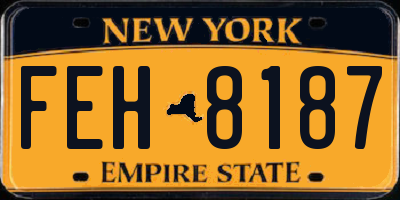 NY license plate FEH8187