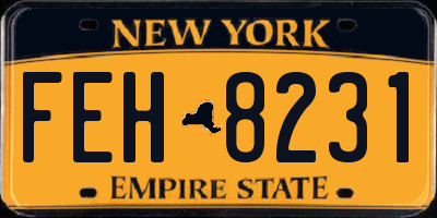 NY license plate FEH8231