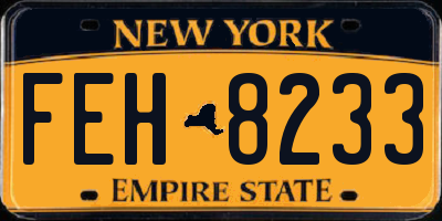 NY license plate FEH8233
