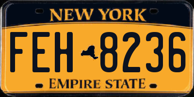 NY license plate FEH8236