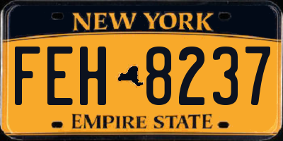 NY license plate FEH8237