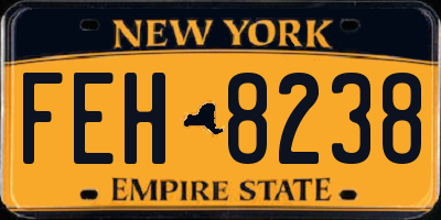 NY license plate FEH8238