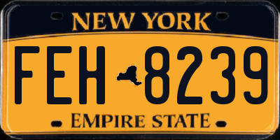 NY license plate FEH8239