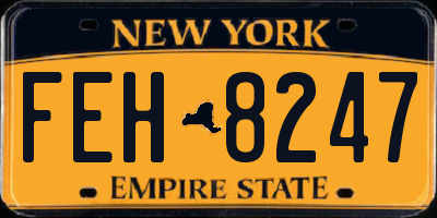 NY license plate FEH8247