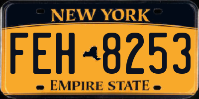 NY license plate FEH8253