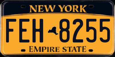 NY license plate FEH8255