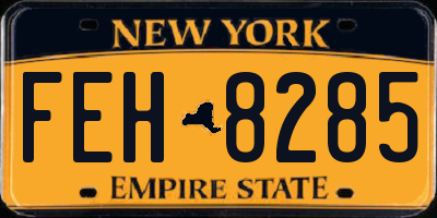 NY license plate FEH8285