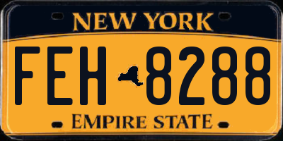 NY license plate FEH8288