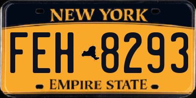 NY license plate FEH8293