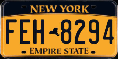NY license plate FEH8294