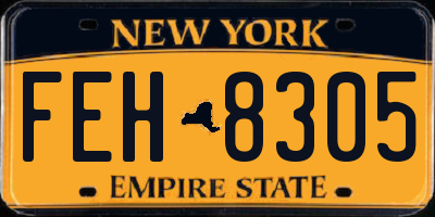 NY license plate FEH8305