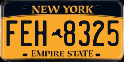 NY license plate FEH8325