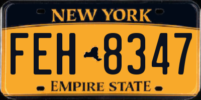 NY license plate FEH8347